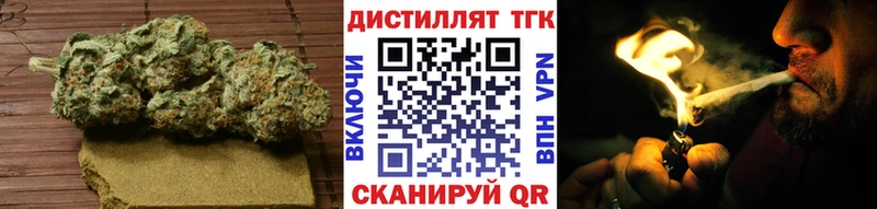 как найти наркотики Светогорск ТГК THC oil