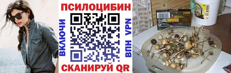 Галлюциногенные грибы Magic Shrooms  даркнет Telegram  Светогорск 