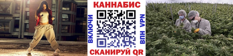 Каннабис план  сколько стоит  Светогорск 